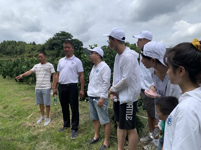 實(shí)踐隊(duì)在村主任伍玉炎帶領(lǐng)下參觀贛南臍橙種植園。福建船政交通職業(yè)學(xué)院供圖