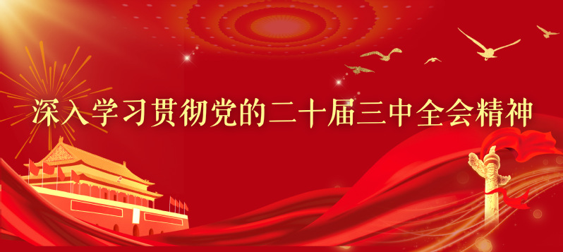 深入學習貫徹黨的二十屆三中全會...